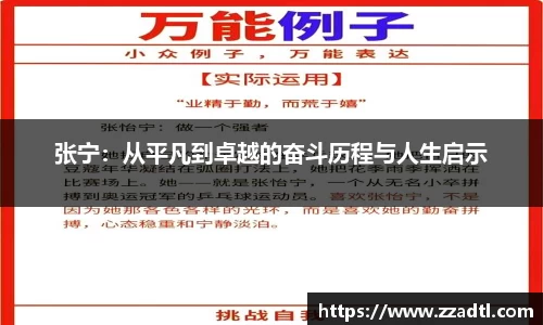 DB视讯