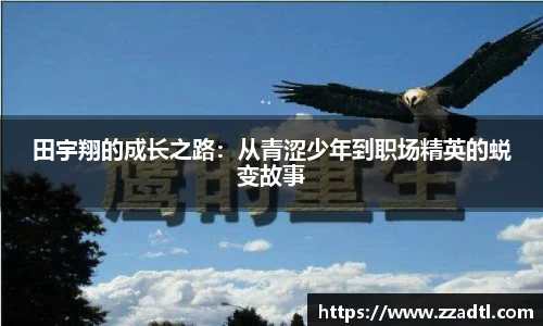 DB视讯官网